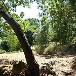 Sanabria - Palacio De La Cuesta بيت للعطل Palacios de Sanabria