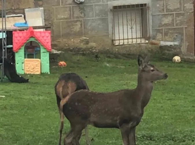 Sanabria - Palacio De La Cuesta Сasa de vacaciones